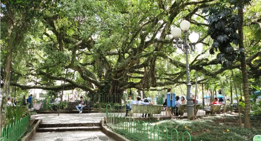 Foto da praça 15 de novembro